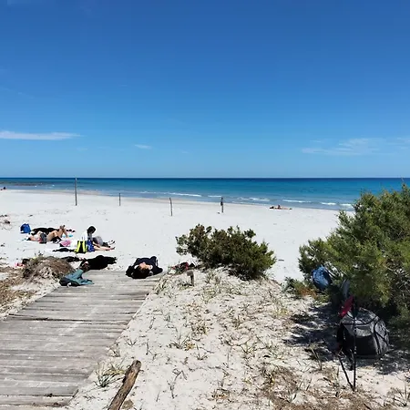 The Square Орозеи